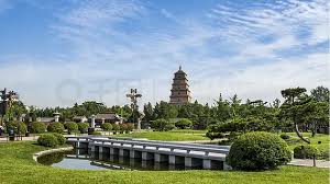 今年会jinnianhui 佳木斯南京市绿化园林